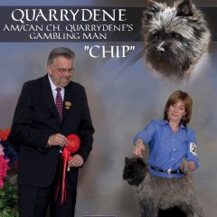 quarrydene's gambling man