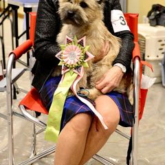 Best in Sweeps CTCA 2019
