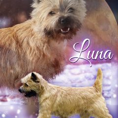 Luna top Cairn in Canada 2019