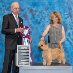 Terrier Specialty 2016