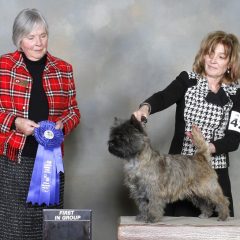 AKC 2018 Group 1st