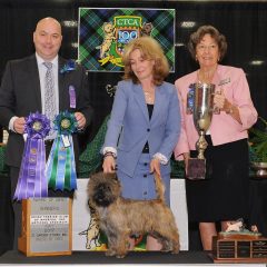Merlon WD CTCA National 2017