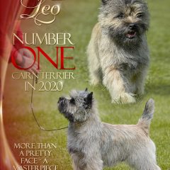 top cairn in canada 2020
